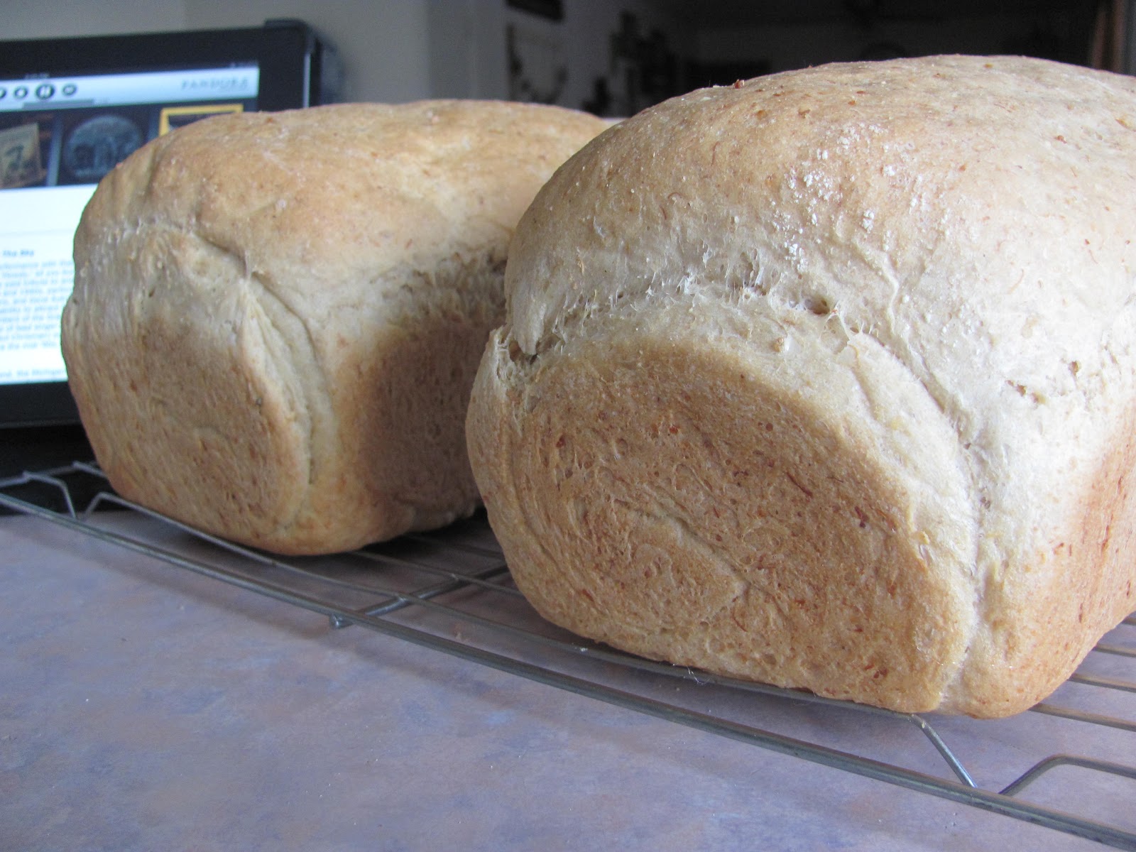 The Jolly Green Giant Homemade Whole Wheat Bread with Quinoa Recipe