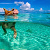 Đảo BigMajor Spot hút du khách với những chú lợn "siêu kinh ngư"
