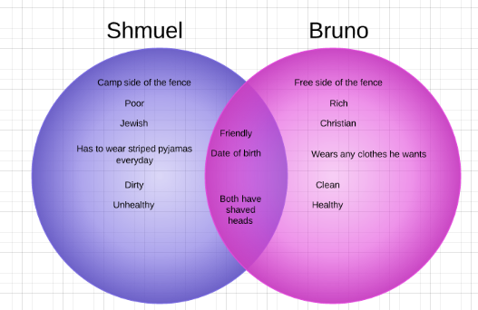 Veisinia : Bruno and Shmuel Venn diagram