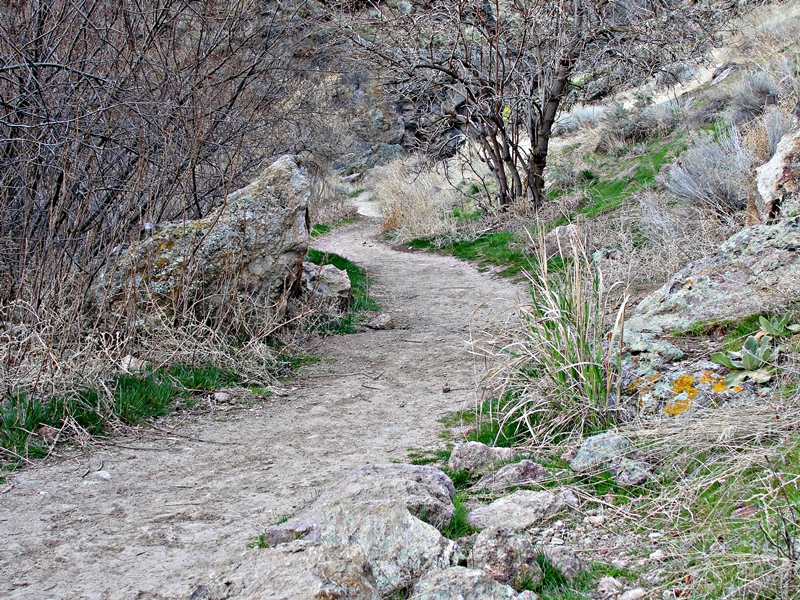 Idaho Travel Things To Do Idaho Vacation Jump Creek Canyon and Waterfall