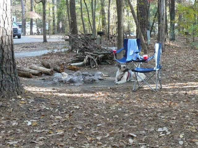 We Would Rather Be Camping Wall Doxey State Park Holly Springs Ms