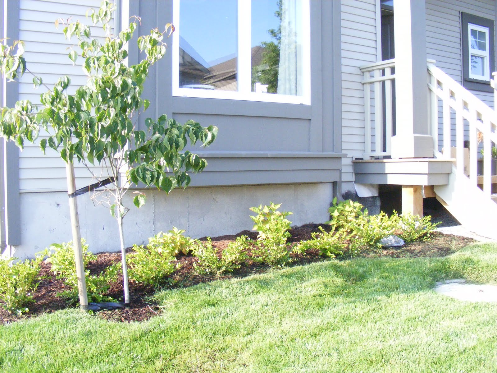 House Interior Design Round Boxwood Hedges In The Garden