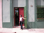 Aniplant HQ