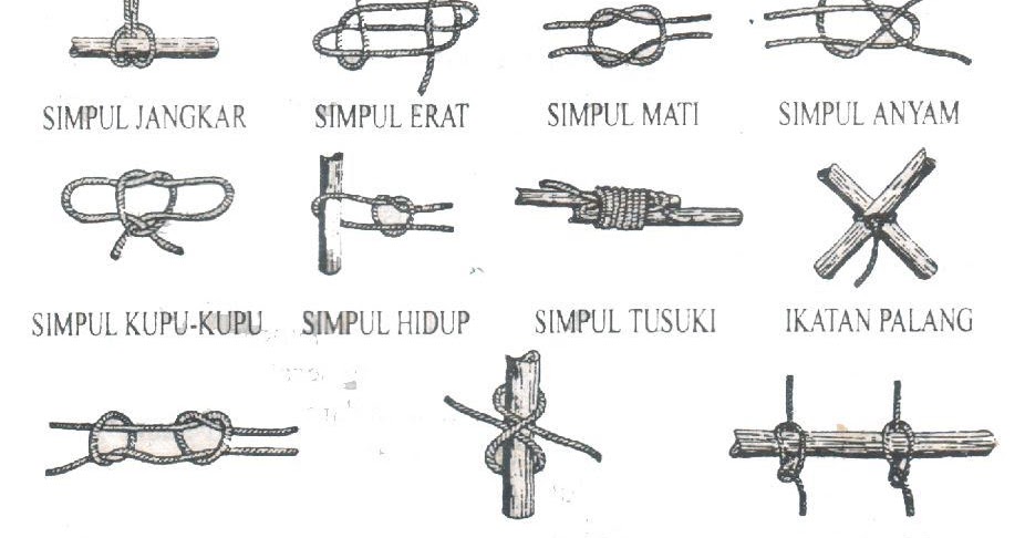 Perbedaan Tali, Simpul dan Ikatan dalam Pramuka Yel Yel Perbedaan Tali, Simpul dan Ikatan dalam Pramuka Yel Yel