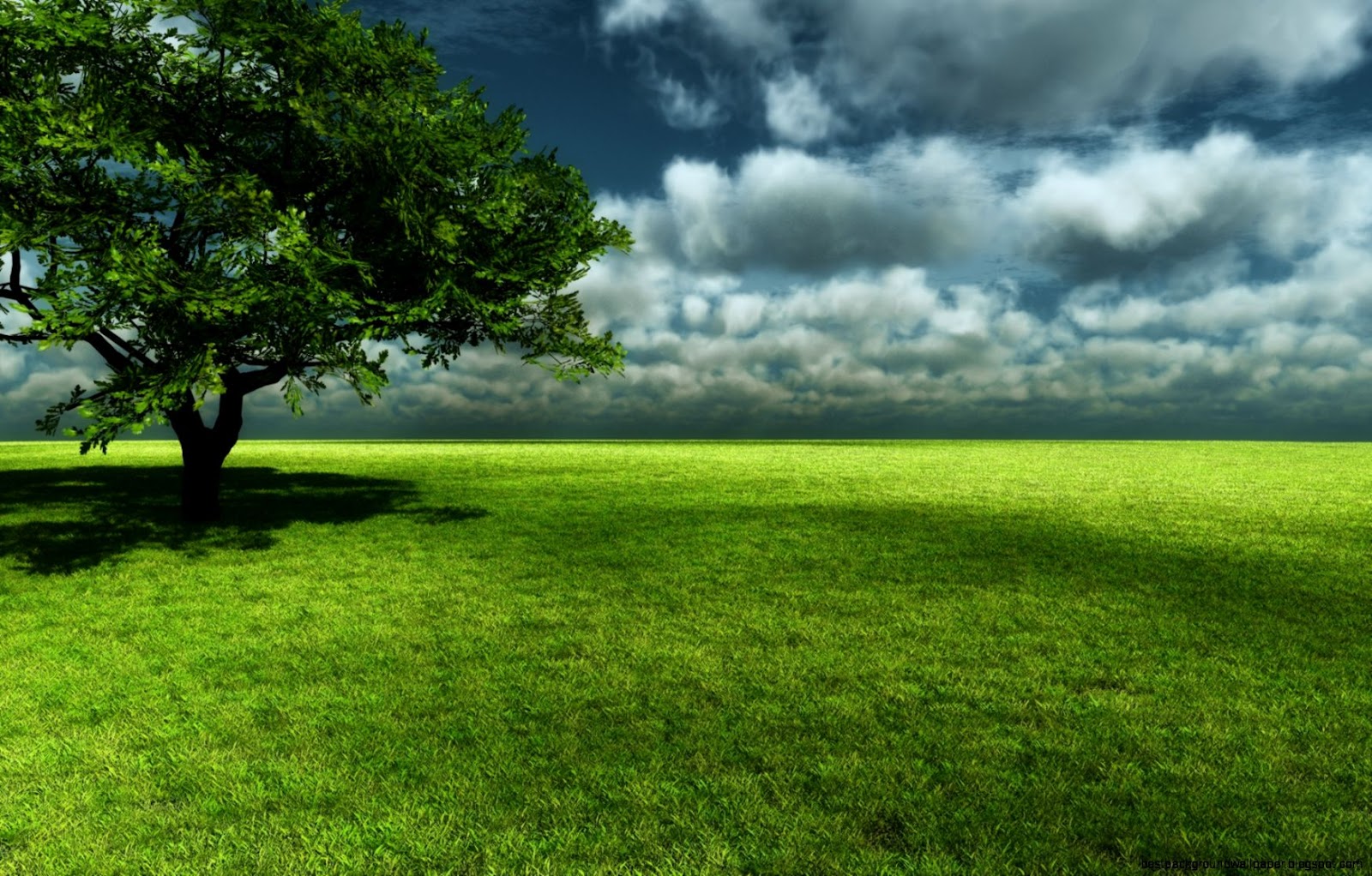 Beautiful Nature Scenes Beautiful Nature Scenes