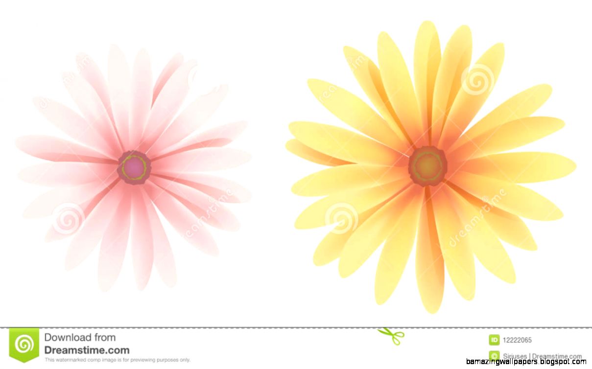 Daisy Royalty Free Stock Photo Image 12222065 Daisy Royalty Free Stock Photo Image 12222065