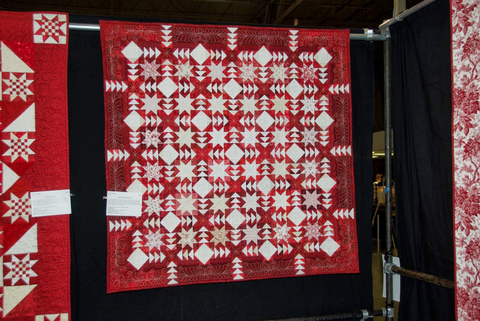 Pursuit of Quilts 40th Annual Quilters Unlimited Quilt Show 2013 Part 2