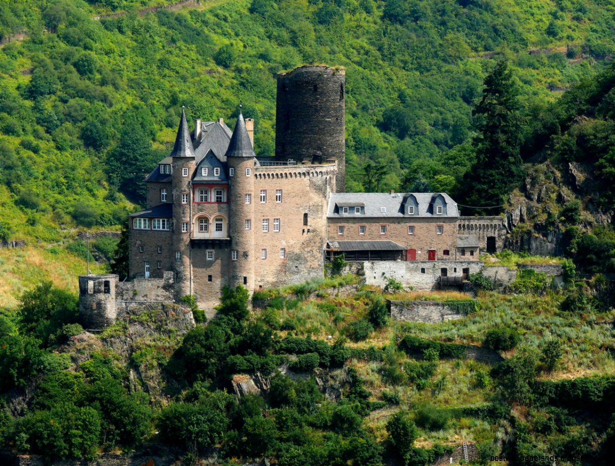 Замок Мышь и Замок Кошка Замок Мышь и Замок Кошка