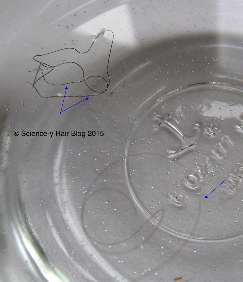 Sciencey Hair Blog Hair Porosity The Float Test Part Two