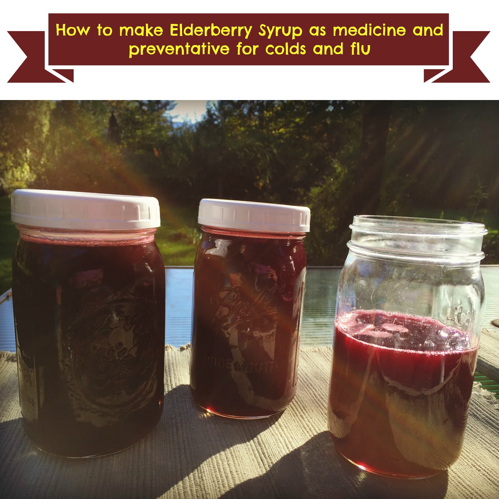 Marblemount Homestead How to make elderberry syrup a great medicine (and preventative) for