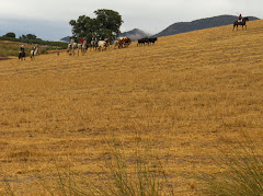 Camino al Cielo