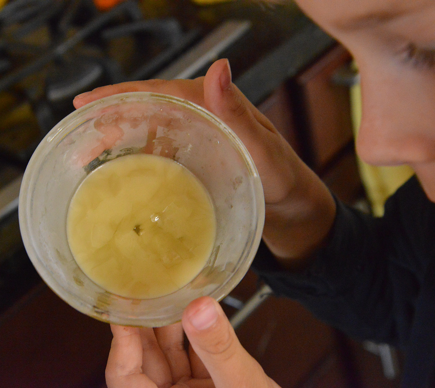 A school of fish Crystallized Honey experiments