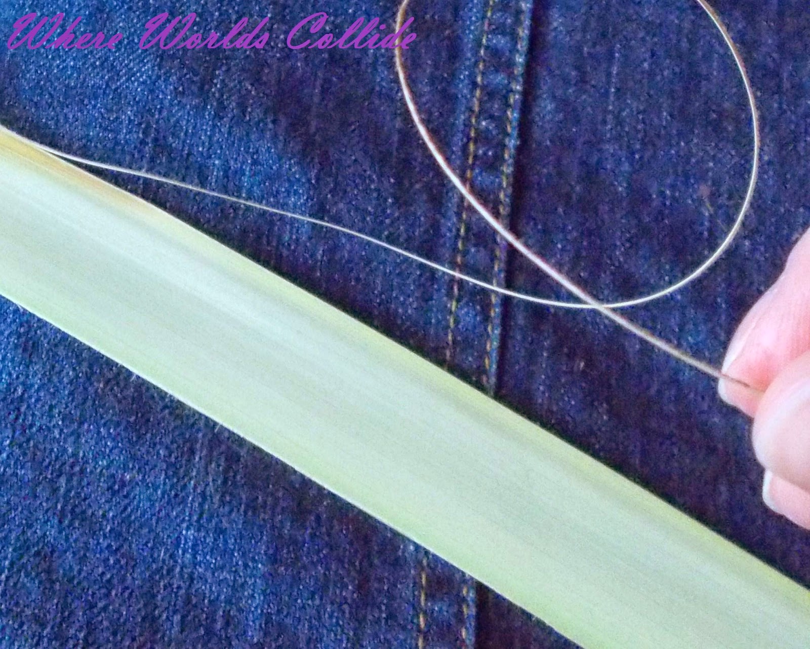 Where Worlds Collide Palm Weaving