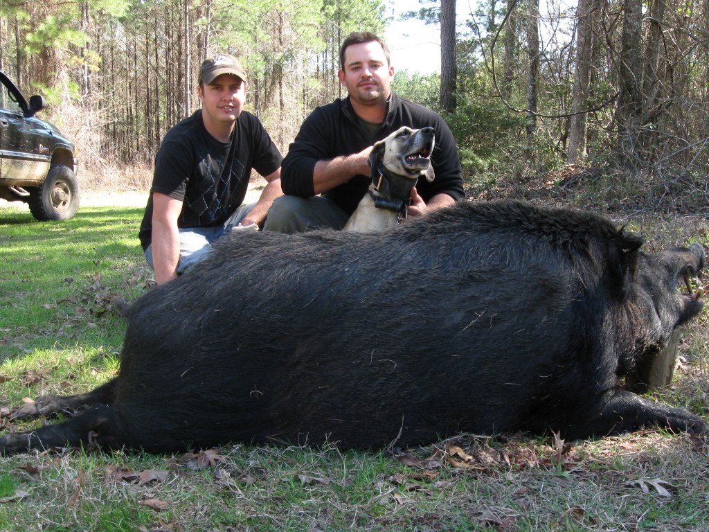 Hog Hunting Weatherford Texas at Joyce ster blog