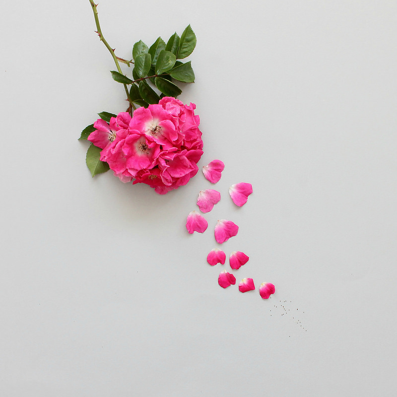 scraps of us Bits and Bobs...