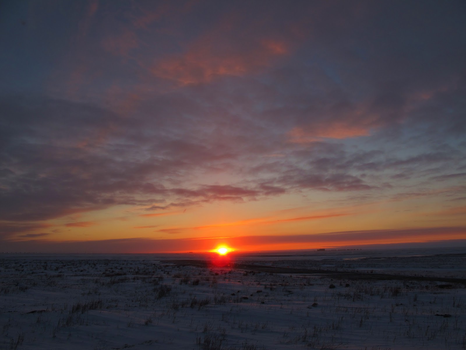 Tundra Rat Travel Prudhoe Bay, Alaska