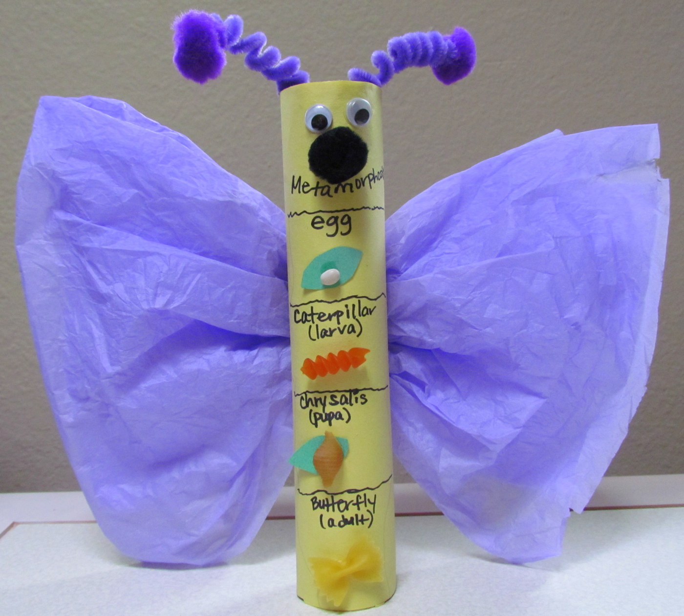 Learn To Grow Metamorphosis Butterfly Craft Paper Towel Tube