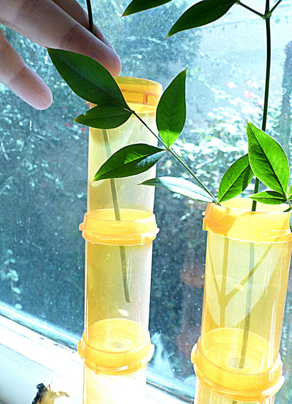 Mich L. in L.A. My Strange, Upcycled Faux Bamboo Vase.