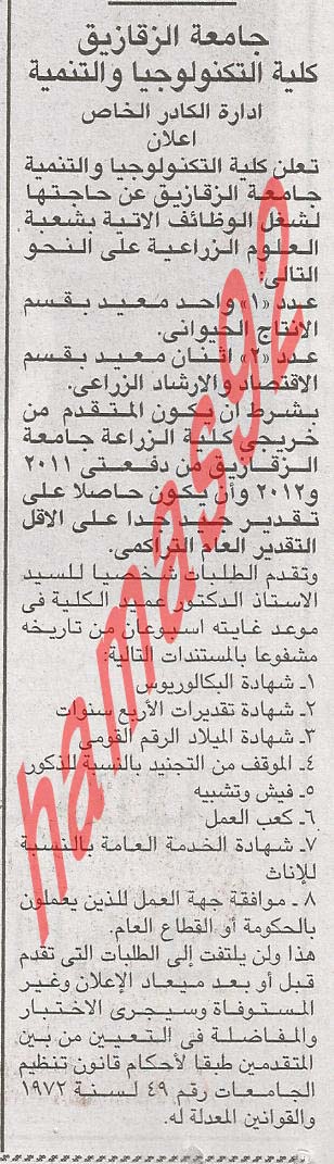 وظائف خالية من جريدة اخبار اليوم المصرية اليوم السبت 23/2/2013 %D8%AC%D8%A7%D9%85%D8%B9%D8%A9+%D8%A7%D9%84%D8%B2%D9%82%D8%A7%D8%B2%D9%8A%D9%82+%D8%A7%D9%84%D8%A7%D8%AE%D8%A8%D8%A7%D8%B1