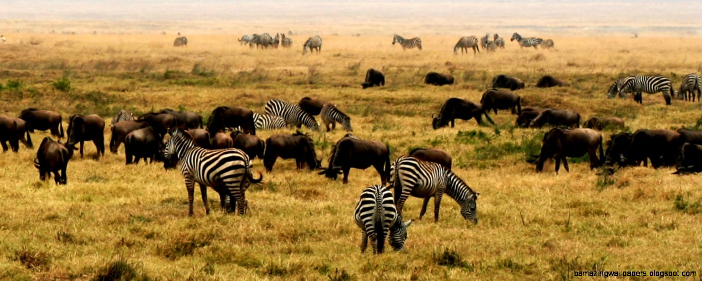 Wildlife of Tanzania Wikipedia the free encyclopedia Wildlife of Tanzania Wikipedia the free encyclopedia