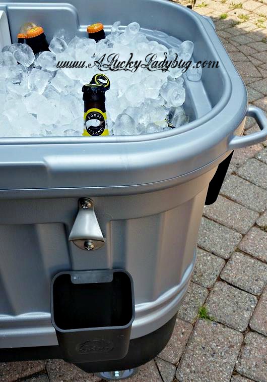 A Lucky Ladybug Party Hard w/ Igloo® Party Bar™ Review