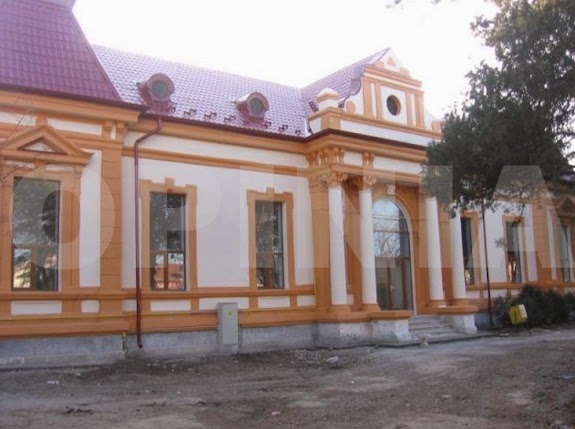 ANALIZA ISTORICO ARHITECTURALA: BLENORAGIA POLITICA