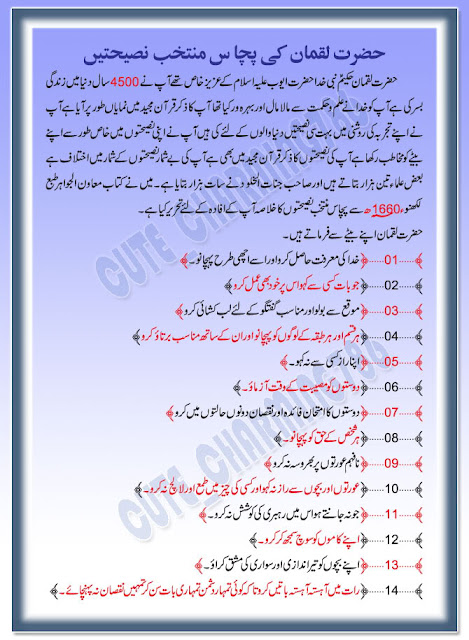awan history in urdu pdf awan history in urdu pdf