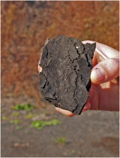 World Energy Balance