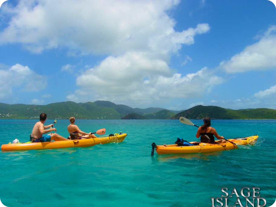 Sage Island Guided Tours on St John USVI