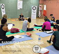 Ioga Aeri Cursos Professors
