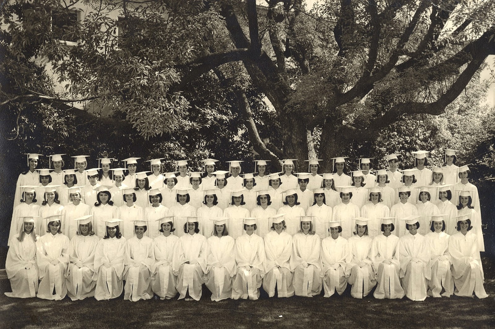 The Museum of the San Fernando Valley CORVALLIS HIGH SCHOOL ARCHIVE GROWS