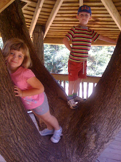 treehouse in forest of bere adventure playground