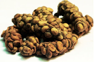 Granos de café kopi luwak