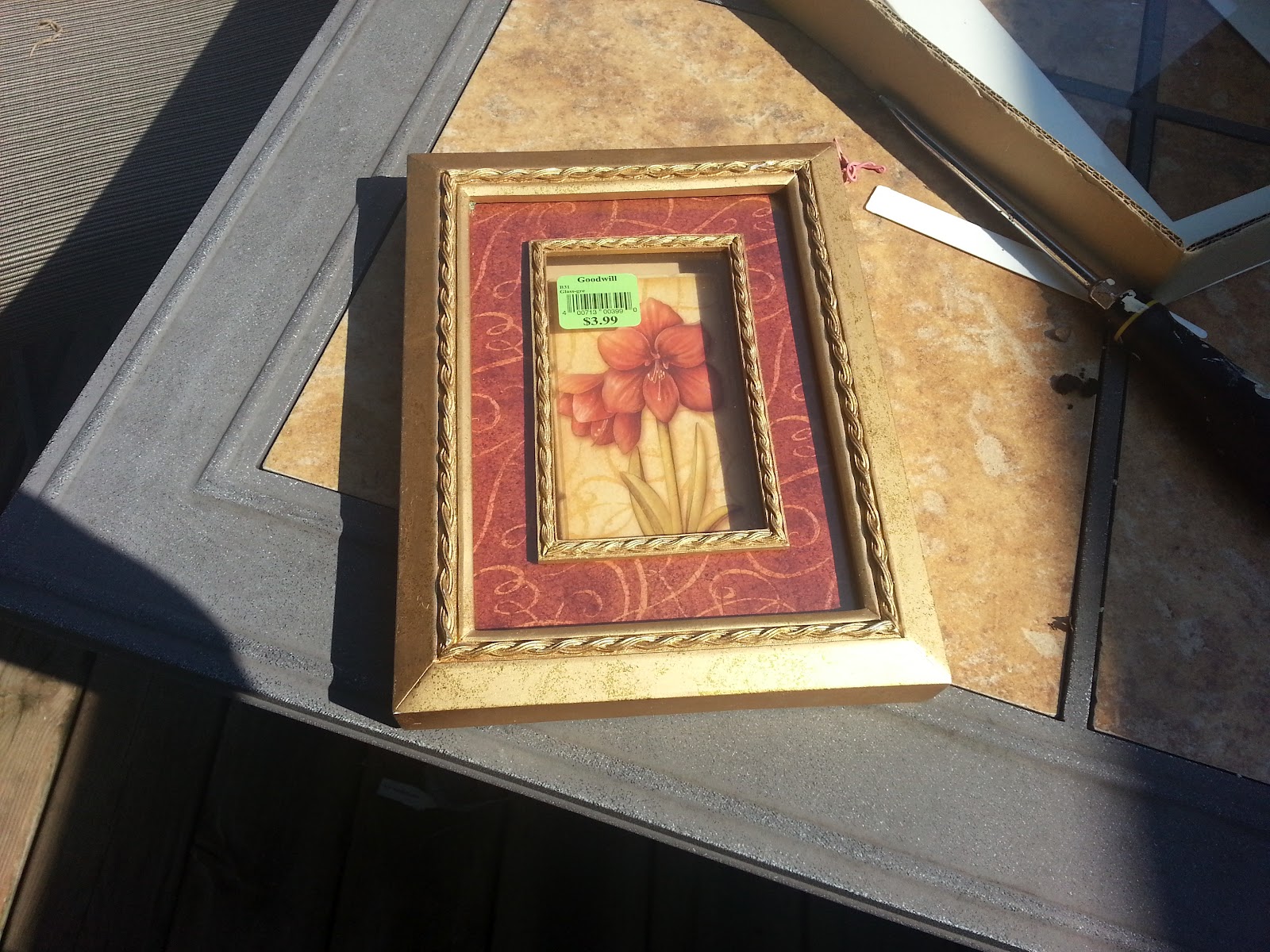 Cheesehead Gardening Succulent Picture Frames from Goodwill Find