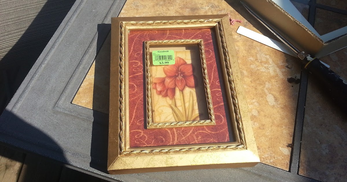 Cheesehead Gardening Succulent Picture Frames from Goodwill Find