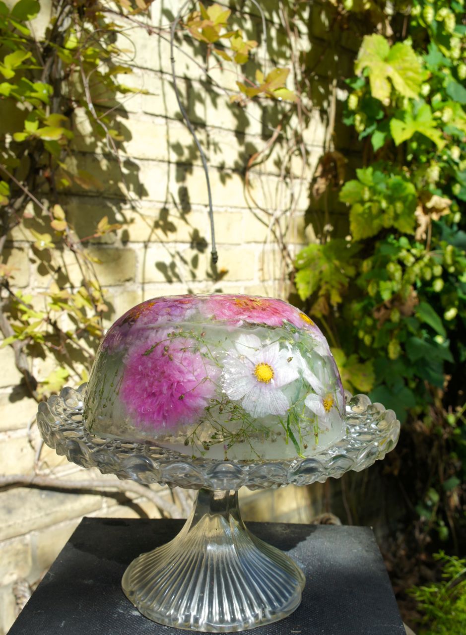 Foragefor... news Ice Flower Bowls