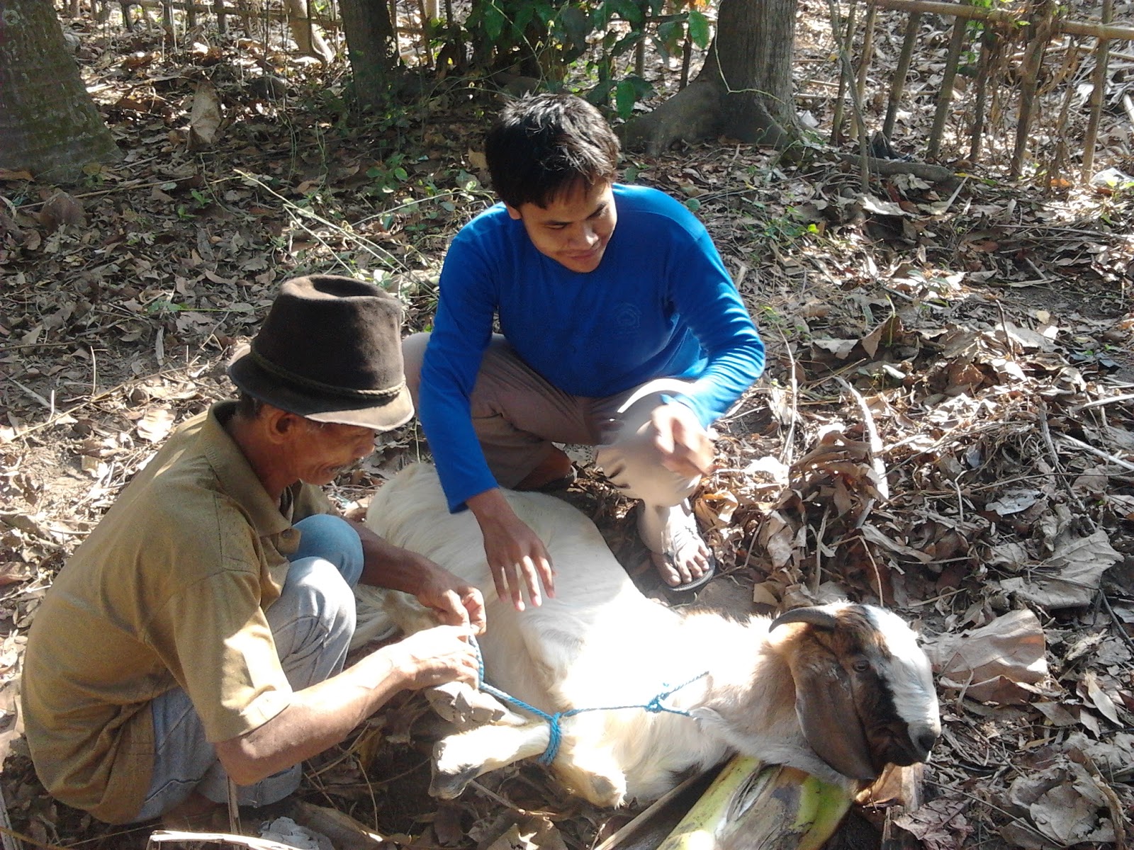 Banjir Embun: Foto Proses Penyembelihan Hewan Kurban