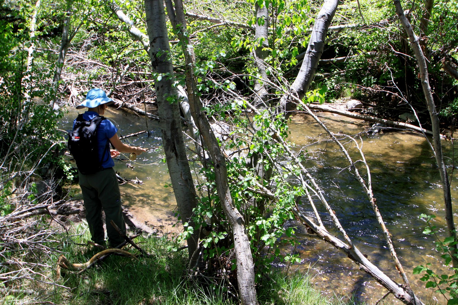 River Tales Fremont, UM Creek, Bicknell Bottoms Kick the summer off right