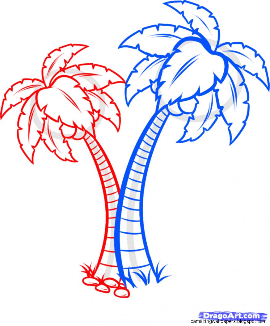 Tropical Rainforest Trees Drawing Image Gallery Photonesta Tropical Rainforest Trees Drawing Image Gallery Photonesta