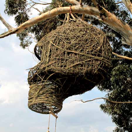 Natural Organic Bed Frames Natural Organic Bed Frames