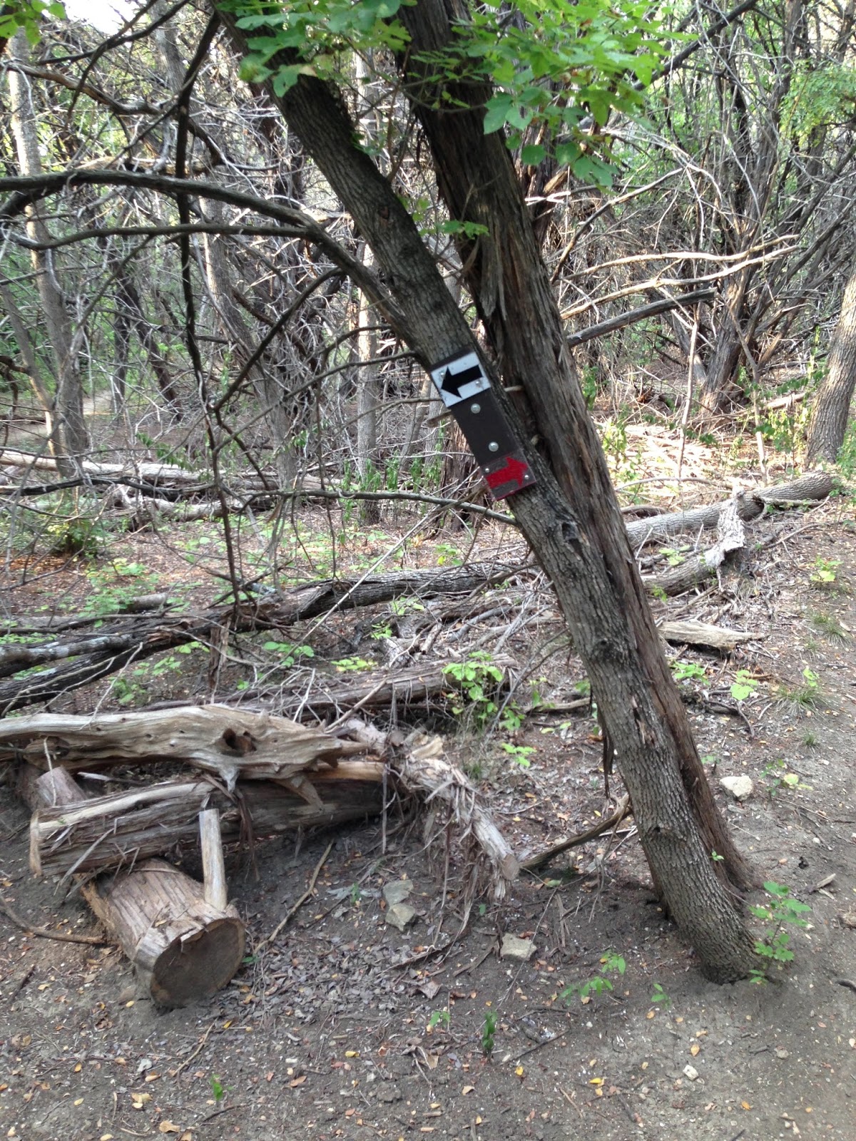 The Roaming Itinerant Woodway Park (Waco, TX)