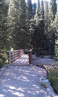 Red Pine Trail Alta Utah