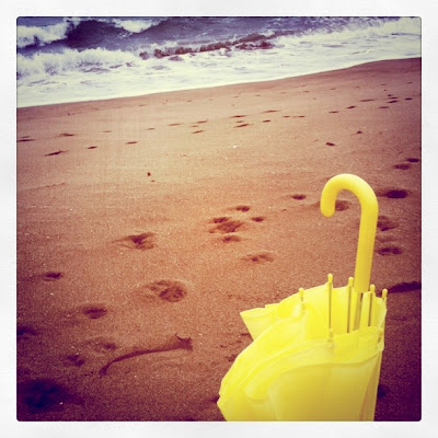 歌詞 愛し君へ 森山直太郎