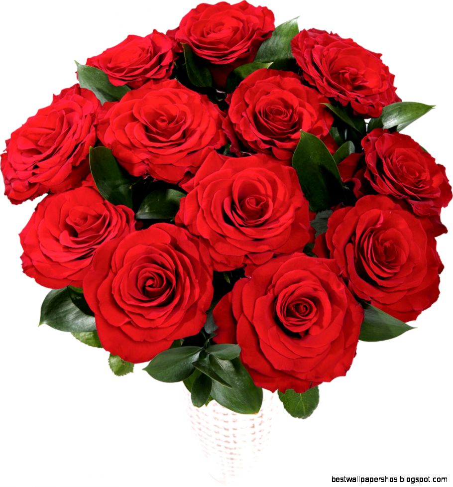 Valentine39s Competition Say 39I Love You39 with Red Roses from Bunches Valentine39s Competition Say 39I Love You39 with Red Roses from Bunches