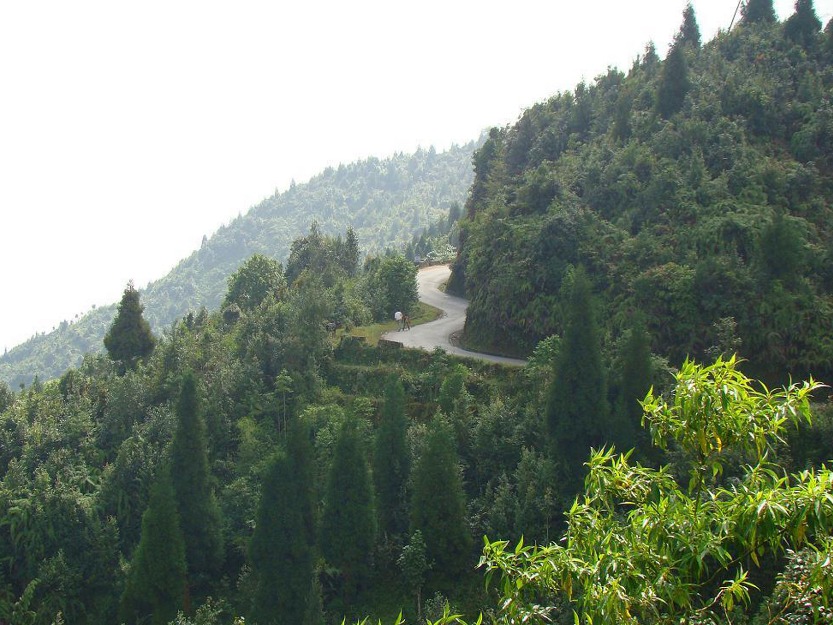 Dooars Ecoviillege Enjoy North Bengal Jungles Tour on This PUJA 2013