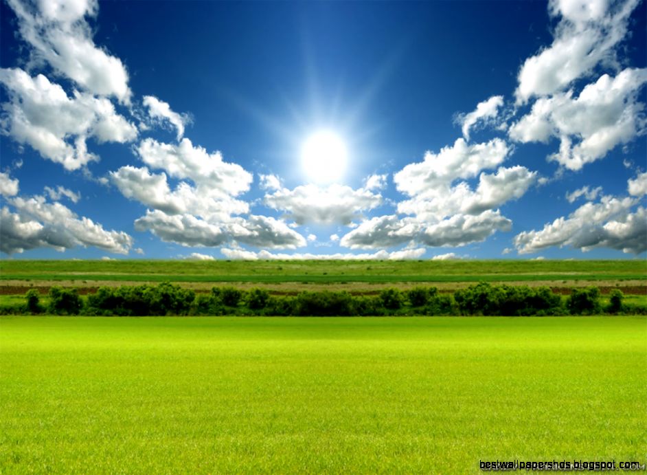 kartandtinki1field wallpaper kartandtinki1field wallpaper
