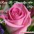 Happy Rose Day Greeting Cards For Valentine's Day