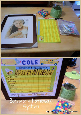 Ladybird homework helpers pack