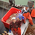 Capturan en Alaska extraño ejemplar de cangrejo azul