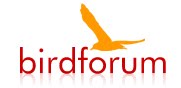 Birdforum